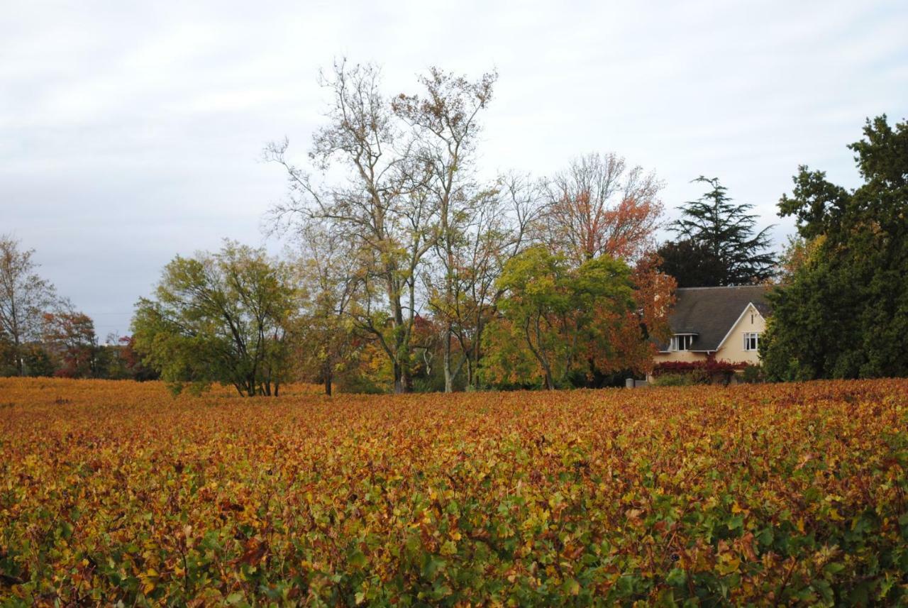 Belfield Wines And Farm Cottages Grabouw Luaran gambar