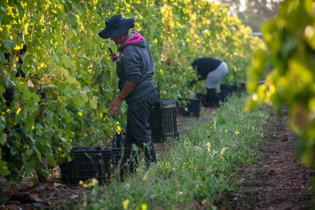 Belfield Wines And Farm Cottages Grabouw Luaran gambar